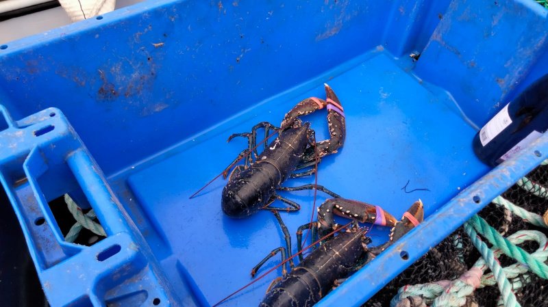 WhatsApp Image 2022-10-10 at 17.22.10.jpeg