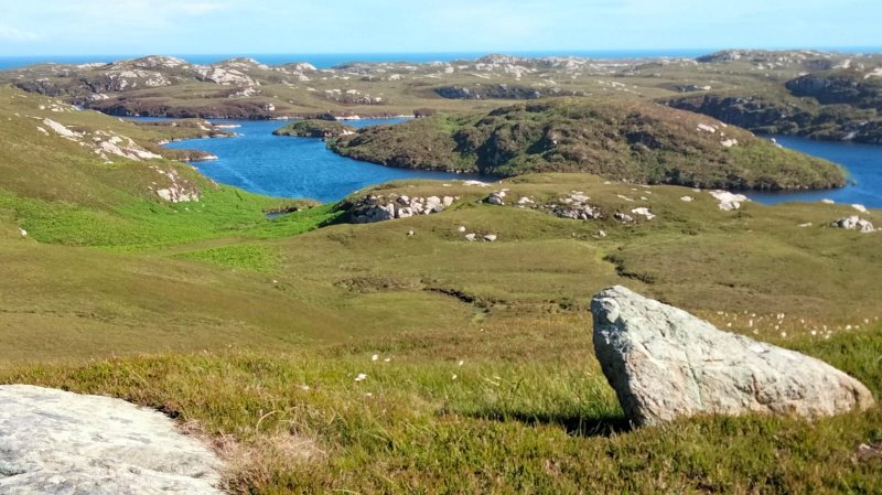 WhatsApp Image 2022-10-10 at 17.22.11 (2).jpeg