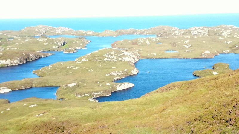 WhatsApp Image 2022-10-10 at 17.22.11.jpeg