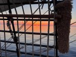 IMG_00261.jpg