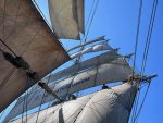 IMG_99851.jpg