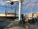 FLOSYCA-1.jpg
